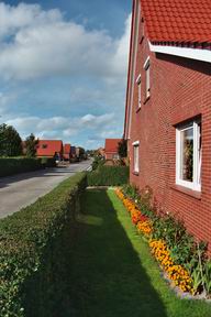 Blick die ruhige Straße entlang – Hausfassade mit blühenden Tulpen